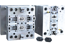 Precision Molds